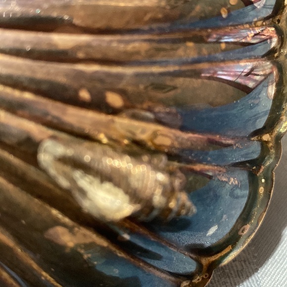 3 Compartment Shell Condiment Dish - Picture 11 of 13